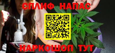 шишки Бузулук