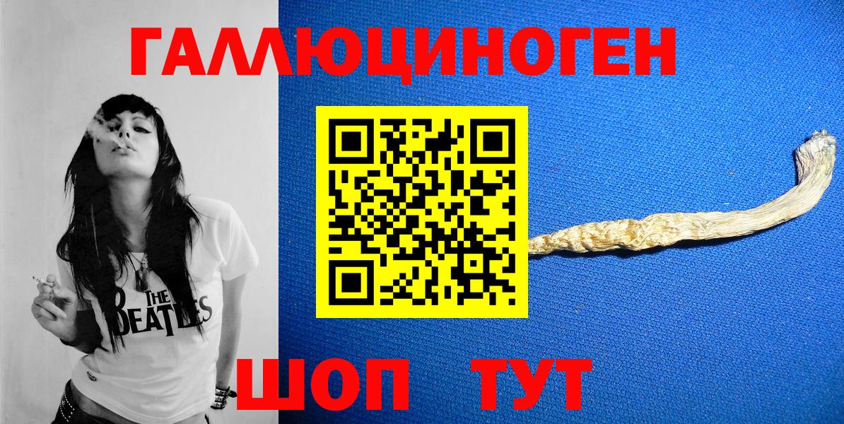 Отрадное  Галлюциногенные грибы Psilocybine cubensis  Вход с VPN 