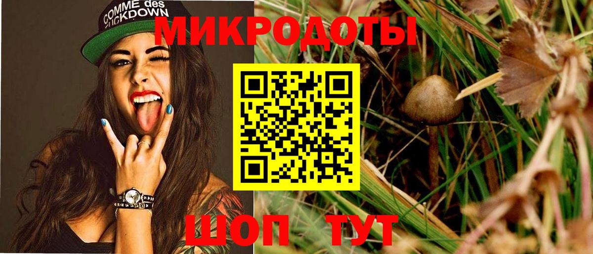 Псилоцибиновые грибы мухоморы Отрадное